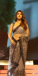 Anu Emmanuel looks Stunning in Transparent saree